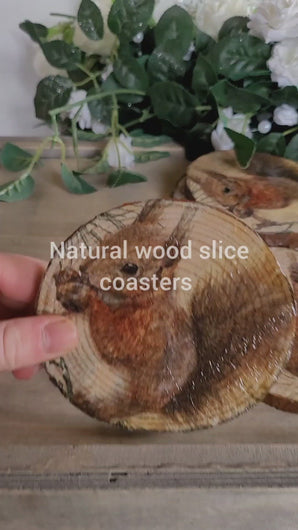Video of Four round wood slice coasters with bark left on with decoupage squirrel eating nut design. Varnished to a glossy finish